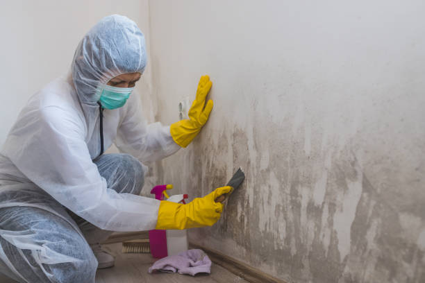 Best Water Damage Restoration  in Bentleyville, PA