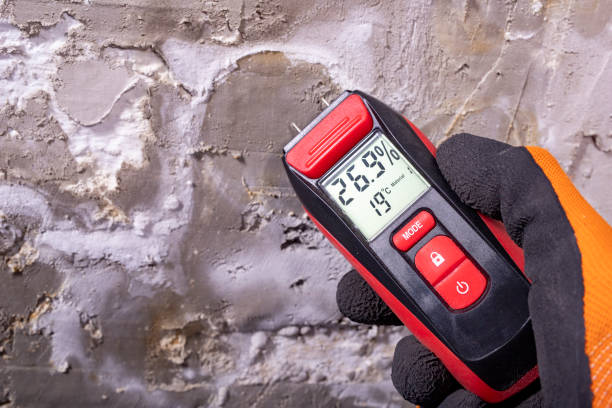 Attic Mold Removal in Bentleyville, PA