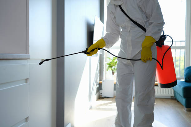 Best Office Mold Removal Services  in Bentleyville, PA