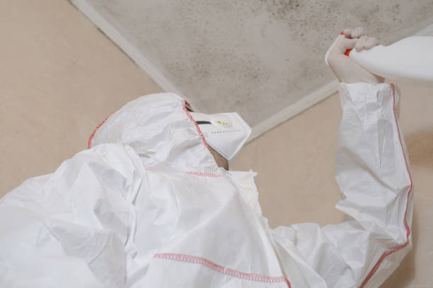 Best Mold Testing  in Bentleyville, PA