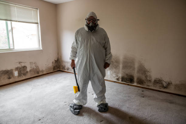 Best Mold Testing  in Bentleyville, PA